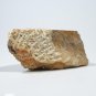 "Shona Sister" Serpentine Shona Stone Sculpture Hand Carved in Zimbabwe!