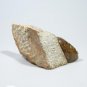 "Shona Sister" Serpentine Shona Stone Sculpture Hand Carved in Zimbabwe!