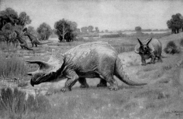 triceratops cretaceous period