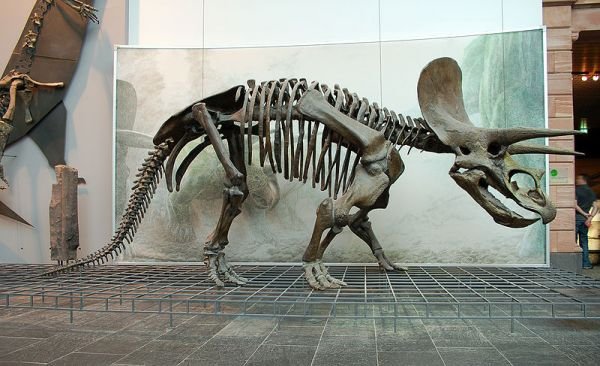 triceratops cretaceous period