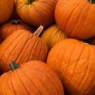 CM Green Label Coffee - Pumpkin Spice 12oz Ground