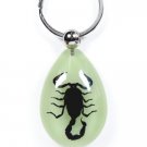 BLACK SCORPION Keychain Ring Glow In Dark Real INSECT Genuine Key Chain Keyring BLACK SCORPION Keychain Ring Glow In Dark Real INSECT Genuine Key Chain Keyring