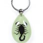 BLACK SCORPION Keychain Ring Glow In Dark Real INSECT Genuine  Key Chain Keyring