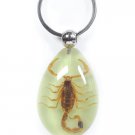 SCORPION Keychain Ring Glow In Dark Real INSECT Genuine Key Chain Keyring Bug SCORPION Keychain Ring Glow In Dark Real INSECT Genuine Key Chain Keyring Bug