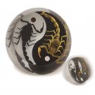 Scorpions Yin Yang Black White Genuine INSECT Desktop Paperweight Cylinder Shape Scorpions Yin Yang Black White Genuine INSECT Desktop Paperweight Cylinder Shape