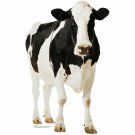 Cow Stand Up Party Decoration Farm Animal Lifesize Cardboard Cutout Farmer Cow Stand Up Party Decoration Farm Animal Lifesize Cardboard Cutout Farmer
