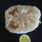 Luffa Sponge Soft Loofah Loofa Natural Bath Shower Luf Loufa Loofa Lufa  USA