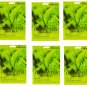 Baroness Green Tea Mask Sheet 10 Sheets - 10 PACK Elastic Moisturizing Hydrate