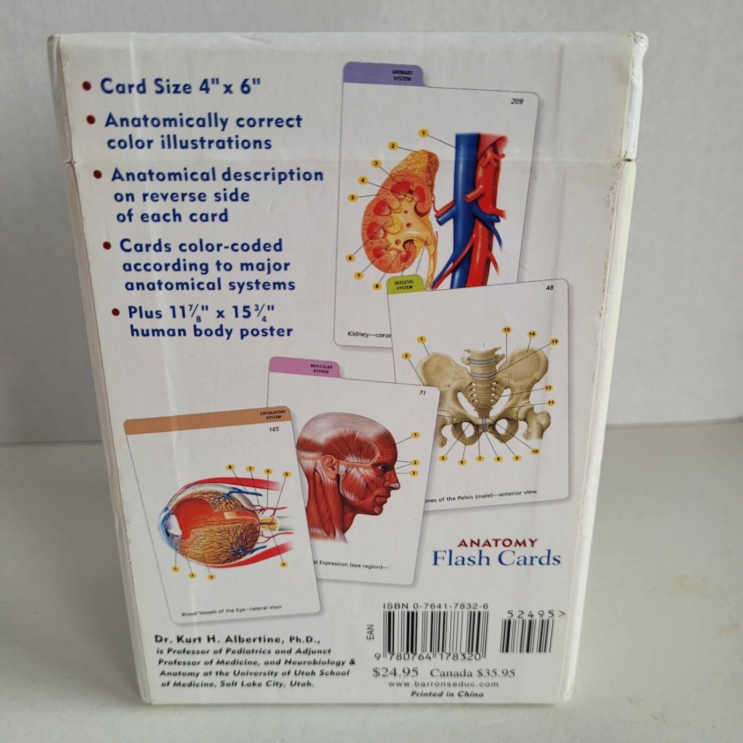 Barron's Anatomy Flashcards 264 Full Color Cards & Poster PreMed