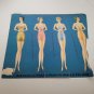 Vtg Dresses Worn By First Ladies of the White House Paper Doll Book  + More Doll