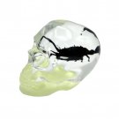 Real BLACK SCORPION In Skull Genuine INSECT Glow In Dark Lucite Paper Weight
