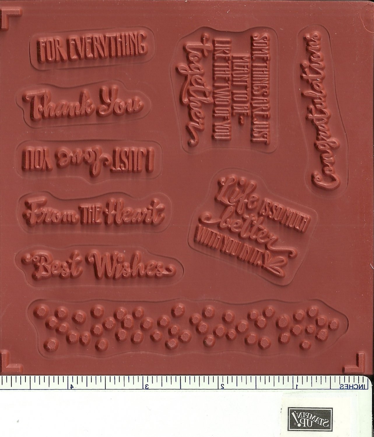 Stampin' Up! PETAL PALETTE 1 & 2 and PETALS & MORE THINLITS Dies NEW