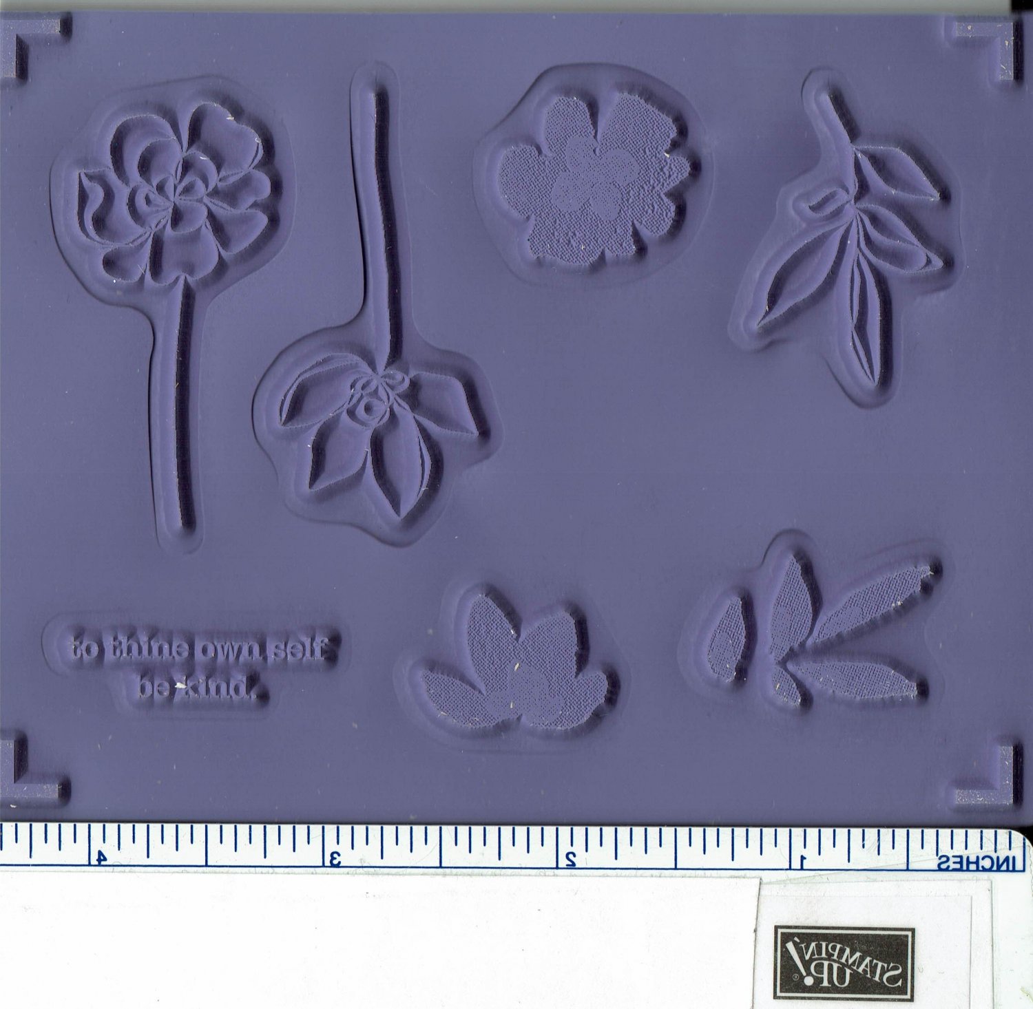 Botanical Blooms 2 Step Stampin Up Retired