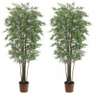 Set of 2 - 6' Mini Japanese Maple Silk Trees - q-ltm626-gr