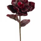 Artificial Kalanchoe Stem - 18"" Height - ck2525-mg