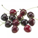 12 Bags of Cherries (12 cherries per bag) - vmc019-re