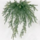 1 Dozen - 20"" Sprengerii Artificial Outdoor Plants - a-159