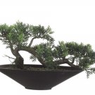 16"" Tea Leaf Artificial Bonsai Tree - lpb378-gr1