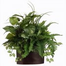 Set of 4 - 24"" Fern Pothos Artificial Plants - lpx721-gr