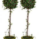 Set of 2 - 30"" Single Ball Angel Vine Silk Topiary in Pot - lqi127-gr