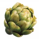 3.5"" SMALL GREEN  ARTIFICIAL ARTICHOKE PLANT - vaa082-gr