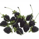2.5""x75"" 336 Artifical Blackberry with Stem - vpb414-bk