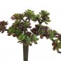 5"" Artificial Sedum Pick - cm4504-gr