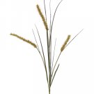 1 Dozen - 48"" Foxtail Grass Spray