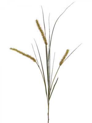 1 Dozen - 48"" Foxtail Grass Spray