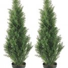 Set of 2 - 3' Cedar Artificial Topiary Trees - Indoor / Outdoor - lpc013-gr