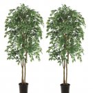 Set of 2 - 7' Long Tip Artificial Ficus Trees in pot - ltf927-gr