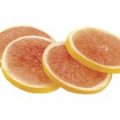 3"" Artificial Grapefruit Slices (4 ea./bag) Orange Pink - vpg201