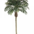 Set of 2 - 8' Phoenix Silk Palm Trees in Rectangular Plastic Pots - lpp508