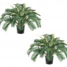 Set of 2 - 26"" Artificial Cycas Palms - lpsl58-gr1