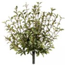 Set of 6 - 16""OREGANO_BUSH_GR - pbh077-gr
