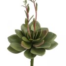 1 Dozen - 12"" Artificial Echeveria Succulents - ce1604-gr