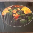 ED Tiger Lily Color Matted Photograph 11x14