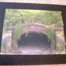 ED Central Park NYC Tunnel Color Black Matted Photo 9 x 12