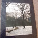 ED Central Park NYC Winter Photograph Blue Mat 9x12