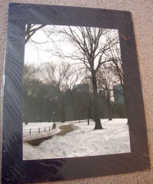 ED Central Park NYC Winter Photograph Blue Mat 9x12