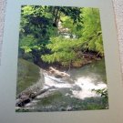 ED Bronx Zoo NYC Water Falls Color Photo Matted 9x12