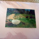 ED Butterfly Garden Photograph 8x10 Matted