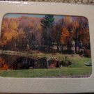 ED Fall Swing Color Photo 5x7 Matted