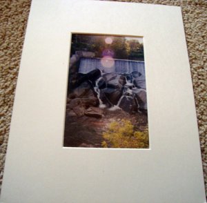 ED Fall Waterfall 8x10 Colored Matted Photo