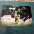 ED Green Grapes Color Photo 8x10 Matted