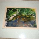 ED Koi Fish Color Matted Photo 8x10