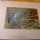 ED Peacock Photo 8x10 Matted