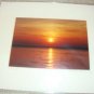 ED Sunset Shelter Island, NY Color Photo Matted 8x10