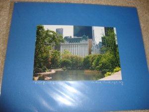 ED Central Park NYC View From Gapstow Bridge 8x10 Matted Photo