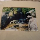 ED Waterford Waterfall Color Matted Photo 8x10